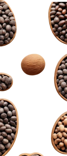 coffee background,coffee beans,cocoa beans,java beans,lentils,beanballs,pine nuts,cowpea,legumes,pulses,microkernels,legume,flax seed,coffee seeds,grains,roasted coffee beans,flaxseed,seed,soybean,groundnuts,Photography,Fashion Photography,Fashion Photography 15