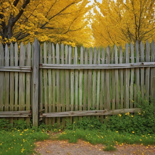pasture fence,wooden fence,garden fence,white picket fence,fence,fence gate,fence posts,the fence,wood fence,fences,fenced,fenceline,fenceposts,fence element,unfenced,wall,wicker fence,prison fence,chain fence,ektachrome,Photography,General,Realistic
