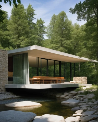 mid century house,fallingwater,mid century modern,mies,bunshaft,modern house,dunes house,forest house,cantilevers,sketchup,prefab,pool house,neutra,3d rendering,house by the water,house in the forest,modern architecture,pavillon,archidaily,summer house,Photography,General,Realistic