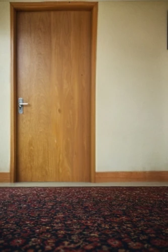 room door,empty room,creepy doorway,the door,open door,redrum,door,hotel hall,corridors,hallway,in the door,hallway space,doorway,carpet,doorkeeper,doorframe,doorstop,doorways,carpeted,anteroom