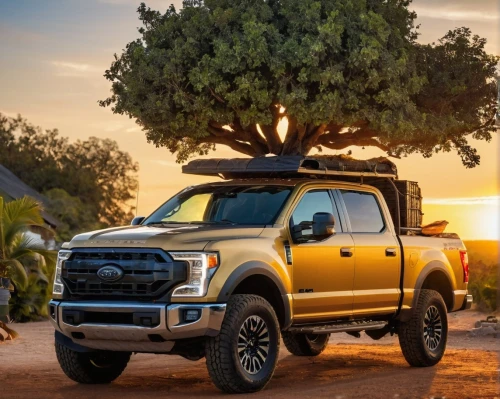 ford truck,ecoboost,pickup truck,pickup trucks,ford,pick-up truck,pick up truck,raptor,tundras,ford cologne,trucklike,truckmaker,truck,tacomas,car wallpapers,overlander,christmas pick up truck,fordable,fords,ford car,Photography,General,Commercial