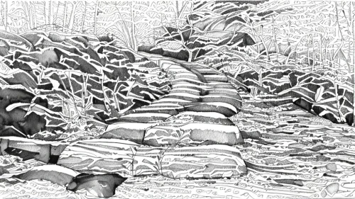 pahoehoe,stereograms,stereogram,woodpile,turbidites,lithostratigraphic,anticline,mesoproterozoic,wood pile,mandelbulb,landslides,anticlinal,ankylosaurs,carboniferous,geomorphic,bilayer,solarization,woodpiles,lamellae,neoproterozoic,Design Sketch,Design Sketch,Fine Line Art