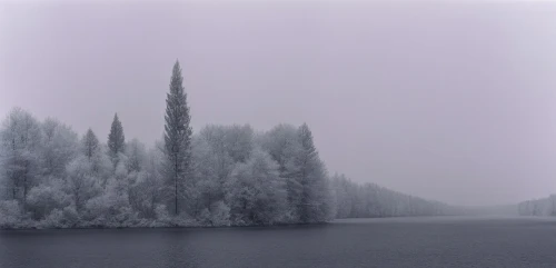 lago grey,winter lake,winter forest,winter landscape,foggy landscape,poplars,hoarfrost,foggy forest,winterreise,winterland,frozen lake,winter dream,winter background,forest lake,antorno lake,jianfeng,frostiness,enchantments,zumthor,snow landscape,Photography,Black and white photography,Black and White Photography 09