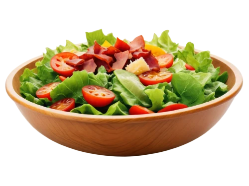 salade,salada,cut salad,saladino,green salad,side salad,saladdin,salad,salata,salad plate,sea salad,mixed salad,resalat,insalata,vegetable salad,salat,salad garnish,farmer's salad,roughage,salads,Conceptual Art,Oil color,Oil Color 01