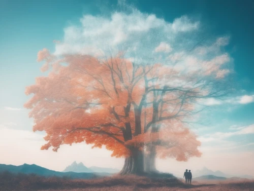 isolated tree,lone tree,autumn tree,lonetree,magic tree,watercolor tree,the japanese tree,arbre,red tree,brown tree,tree,deciduous tree,a tree,arbol,ampt,autumn background,girl with tree,photomanipulation,painted tree,old tree,Photography,Artistic Photography,Artistic Photography 07