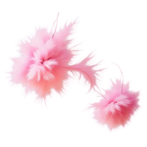 softspikes,pompoms,flowers png,pompons,volumetric,feather carnation,pink grass,feather boa,pom,chiffon,pink flower,poms,pink petals,pink flowers,flower ribbon,pink daisies,papillons,pink paper,minimalist flowers,pink anemone,Conceptual Art,Graffiti Art,Graffiti Art 02