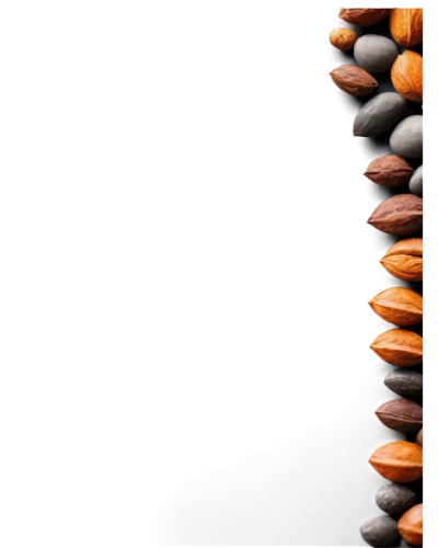 coffee beans,java beans,coffee background,balanced pebbles,cocoa beans,rusty chain,blender,stacking stones,allspice,beanballs,roasted coffee beans,meditrust,bead,cocoanuts,cocoa,terracotta,choco,3d rendered,orang,smooth stones,Photography,Documentary Photography,Documentary Photography 25