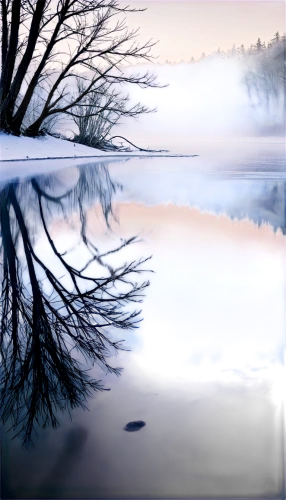 reflection in water,evening lake,mirror water,water reflection,reflections in water,stillness,water mirror,calm water,waterscape,blue moment,foggy landscape,forest lake,blue hour,reflection of the surface of the water,winter lake,waterbodies,tranquility,calmness,reflexed,waterbody,Conceptual Art,Fantasy,Fantasy 17