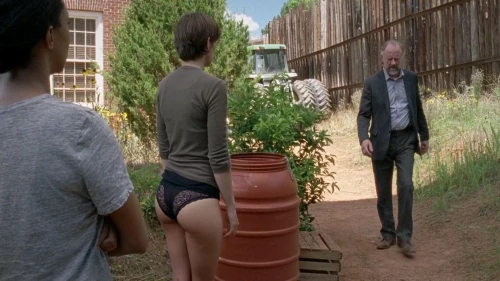 dixons,plant pot,weeds,plant pots,flowerpots,hershel,bowlegs,thewalkingdead,cherokee rose,flower pots,flowerpot,deaton,tumbleweeds,butts,the walking dead,kirkman,potted plants,flower pot,tush,marshburn