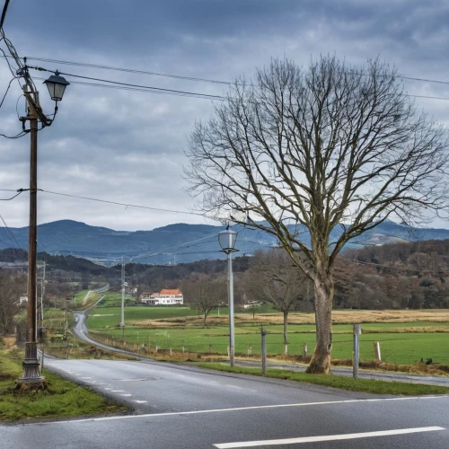 basque country,country road,rural landscape,high-voltage power lines,sauerland,maibaum,historic street lighting,road through village,rural area,auvergne,power pole,ventadour,sideroad,morvan,road,campagne,countrysides,westerwald,landschaft,countryside,Photography,General,Realistic