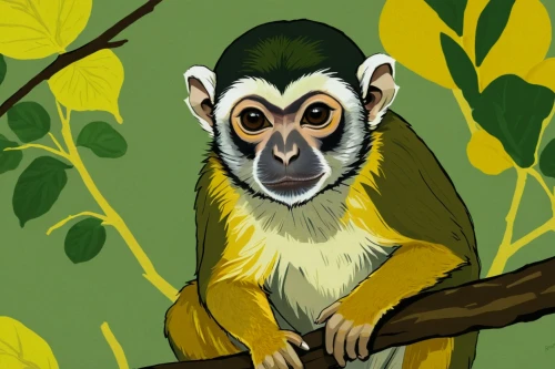 cercopithecus,mangabey,squirrel monkey,cercopithecus neglectus,macaca,tamarin,palaeopropithecus,macaque,long tailed macaque,propithecus,de brazza's monkey,gibbon,alouatta,guenon,galagos,gibbon 5,colobus,madagascan,uakari,monkey banana,Illustration,Black and White,Black and White 02