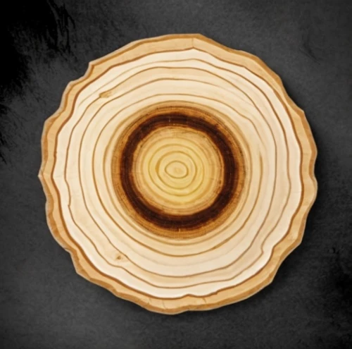 wooden slices,dendrochronology,wooden spinning top,wooden plate,wooden rings,tree slice,wood background,wooden bowl,circle around tree,wooden wheel,slice of wood,hinoki,mizumaki,wooden spool,spiral background,circular puzzle,teakwood,woodburning,woodturning,planchette