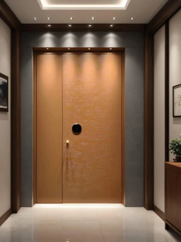 room door,levator,hinged doors,metallic door,entryway,hallway space,elevators,elevator,hotel hall,search interior solutions,hallway,doorway,entranceway,door,main door,steel door,entryways,foyer,recessed,walk-in closet