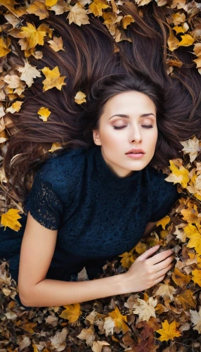 falling on leaves,girl lying on the grass,autumn background,woman laying down,fallen leaves,autumn photo session,autumns,fallen leaf,fall,autumn theme,autumn songs,fallen acorn,autuori,in the fall,autumn leaves,just autumn,fall leaves,autumn frame,leaves are falling,dead leaves,Photography,Documentary Photography,Documentary Photography 25