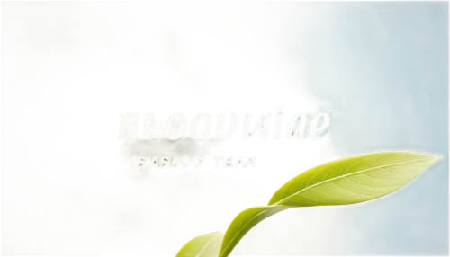 jasminum,blooming,blassingame,alevine,night-blooming jasmine,blooming tea,eflornithine,bloomie,blasingame,jasminka,illumine,josceline,bloomer,blooming grass,bloomin,blaemire,iovine,abasement,fleeming,demming,Unique,Design,Logo Design