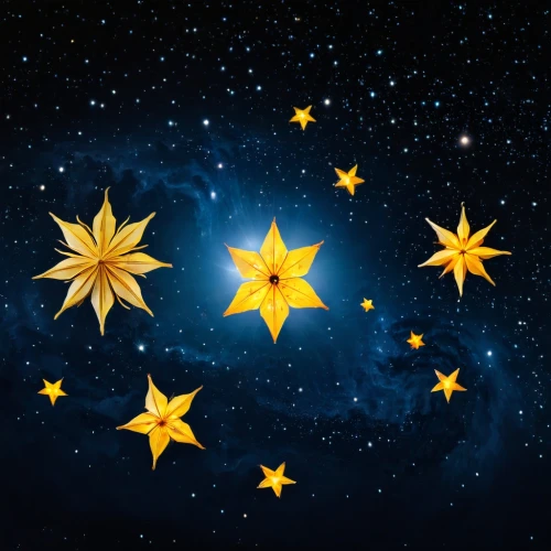 estrelas,estrellas,christmas stars,star illustration,christmasstars,moon and star background,christ star,cinnamon stars,stars,star pattern,the stars,motifs of blue stars,advent star,star of bethlehem,star garland,estrella,starcatchers,star sky,baby stars,constellation pyxis,Photography,Black and white photography,Black and White Photography 02