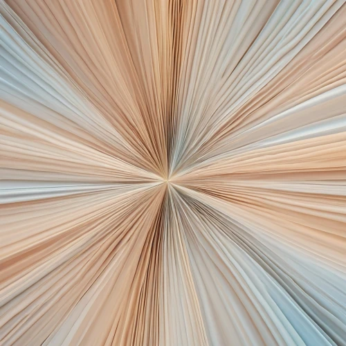 hyperspace,generative,sunburst background,netburst,anisotropic,dodecagonal,abstract air backdrop,warping,abstract background,star abstract,light fractal,background abstract,gradient mesh,concentric,hyperbola,polycentric,isotropic,hyperplane,degenerative,abstract backgrounds,Photography,General,Realistic