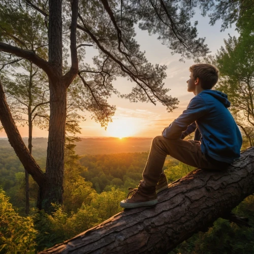 nature and man,saxon switzerland,girl with tree,ardeche,free wilderness,bosquet,upward tree position,outdoor life,background view nature,live in nature,hindhead,provencal life,overlooking,wandervogel,couloumbis,terabithia,treetop,silhouette of man,nature photographer,pine forest,Photography,General,Natural