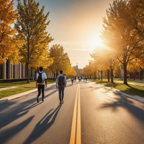 bicycle path,carfree,bike path,tree-lined avenue,bikeways,autumn background,one autumn afternoon,bikeway,walkability,bicycle lane,car free,autumn in the park,autumn scenery,tree lined avenue,cmu,tree lined lane,people walking,autumn sunshine,fall landscape,ubc,Photography,General,Realistic
