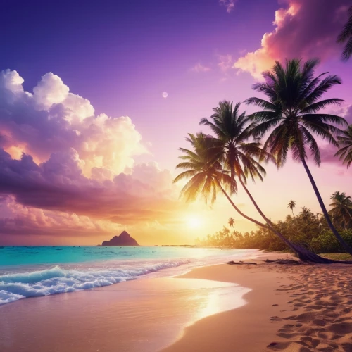 tropical beach,dream beach,beach landscape,beautiful beach,beautiful beaches,beach scenery,caribbean beach,sunrise beach,caribbean,paradise beach,tropical sea,the caribbean,tropical floral background,hawaii,paradises,tropical island,beach background,landscape background,caribbean sea,sunset beach,Photography,General,Realistic