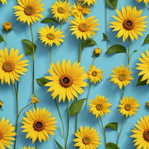 sunflower lace background,wood daisy background,flower background,flowers png,chrysanthemum background,flower wallpaper,sunflower paper,floral digital background,yellow daisies,susans,sun flowers,sun daisies,blue daisies,sunflower digital paper,sunflowers,paper flower background,dandelion background,floral background,helianthus sunbelievable,helianthus,Photography,General,Realistic