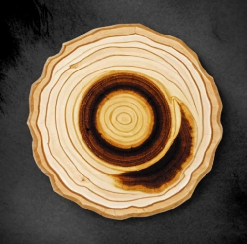 wooden slices,dendrochronology,wooden spinning top,mizumaki,wooden plate,spiral background,wooden rings,uzumaki,ganoderma,tree slice,wood background,wooden wheel,pellumbi,circle around tree,spiral nebula,slice of wood,spiral pattern,hinoki,fibonacci spiral,kanellos