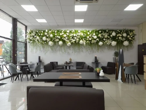 interior decoration,serviced office,contemporary decor,modern decor,floral decorations,floristic,flower wall en,meeting room,search interior solutions,floral decoration,solaria,foodservice,seating area,servery,lunchroom,flower decoration,clubroom,floral corner,floral design,wallcoverings