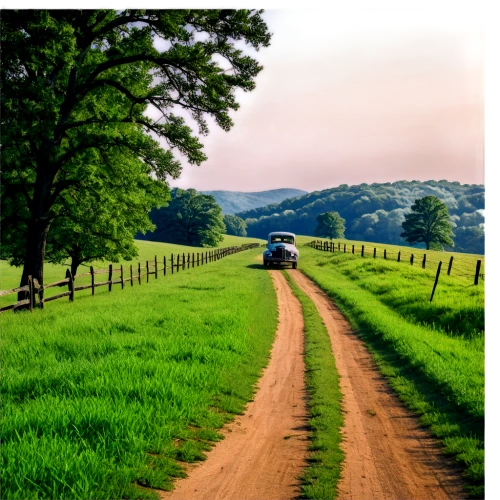 backroads,country road,backroad,dirt road,rural landscape,farm landscape,bucolic,farmland,green fields,countryside,countrified,rolling hills,vineyard road,green landscape,countrie,country,farm background,country side,unpaved,winding roads,Illustration,Children,Children 01