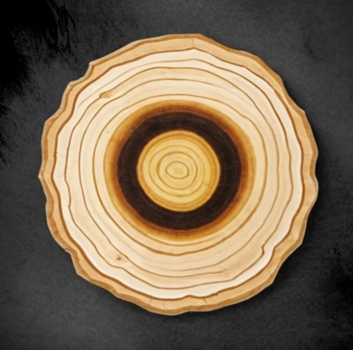 wooden spinning top,wooden slices,dendrochronology,wooden rings,wooden plate,wooden wheel,tree slice,wood background,circle around tree,wooden bowl,mizumaki,slice of wood,spiral background,circular puzzle,wooden spool,hinoki,ganoderma,polypores,wooden wheels,planchette