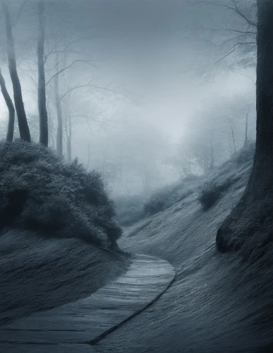 the mystical path,the path,hollow way,forest path,pathway,wooden path,winding road,chemin,path,hiking path,paths,deviantart,tree lined path,foggy landscape,sentier,winding steps,roadless,forest road,road to nowhere,traverses,Photography,Black and white photography,Black and White Photography 07