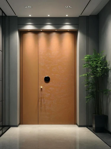 metallic door,levator,room door,hinged doors,steel door,elevator,door,wooden door,elevators,the door,doors,open door,doorway,walk-in closet,entryway,search interior solutions,corten steel,hallway space,entryways,garden door