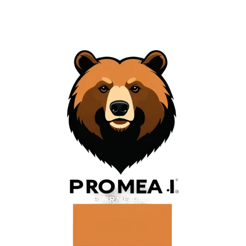 brown bear,bear,bearss,bearse,ursine,bearhart,bearak,bearman,bearlike,bearup,scandia bear,bear kamchatka,baer,bearshare,bearkat,great bear,bearmanor,bearishness,bafin,european brown bear,Unique,Design,Logo Design