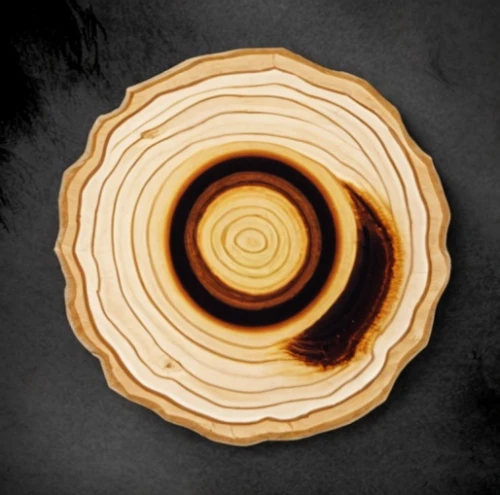 wooden slices,mizumaki,wooden spinning top,dendrochronology,uzumaki,wooden plate,wooden rings,tree slice,spiral background,ganoderma,kanellos,pannekoek,fibonacci spiral,kanelbullar,pellumbi,concentric,spiral pattern,slice of wood,circle around tree,ring of fire