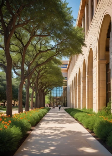 peristyle,caltech,stanford university,amanresorts,mccombs,technion,auc,stanford,colonnades,breezeway,colonnade,kaust,iese,mcnay,courtyards,utsa,tree-lined avenue,antinori,tree lined avenue,tree lined path,Illustration,Abstract Fantasy,Abstract Fantasy 07