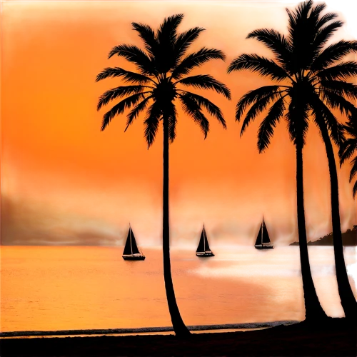 palm silhouettes,palm tree silhouette,two palms,palmtrees,coconut trees,palm trees,sailboats,coconut palms,palm tree,palms,palm field,tropical beach,watercolor palm trees,palm leaves,palmtree,beach landscape,sailing boats,sunset beach,palm pasture,royal palms,Illustration,Children,Children 01