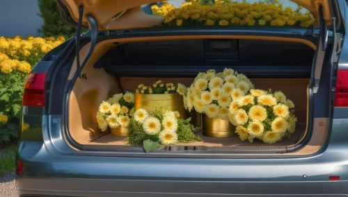 flower car,fruit car,yellow chrysanthemums,easter truck,flower cart,trunkload,pineapple basket,flower delivery,fresh pineapples,planted car,plants under bonnet,cart of apples,daffodils,chrysanthemums,yellow car,yellow tulips,filled daffodil,green chrysanthemums,grocery basket,car shampoo,Photography,General,Realistic