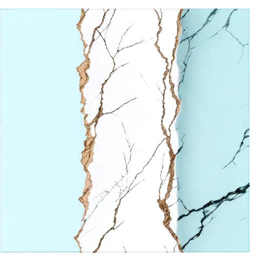 vastola,sedimentation,delamination,marble texture,ultrastructural,structural plaster,veining,layer nougat,microstructural,arteriovenous,tectonics,marbleized,marble pattern,sinew,isolated product image,neurons,interneuron,varices,bilayer,background texture,Illustration,Paper based,Paper Based 20