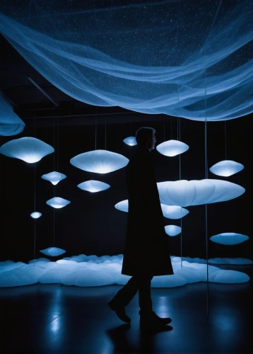 boltanski,aicher,foscarini,luminol,scenography,photograms,light art,blue room,acconci,drawing with light,blue spheres,quadriennale,universum,christo,biennale,klaus rinke's time field,stage curtain,electroluminescent,ufo interior,kiesler,Photography,Artistic Photography,Artistic Photography 10