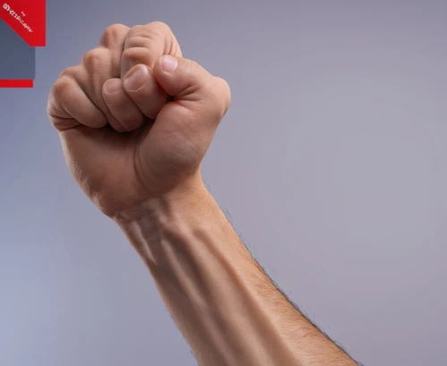 fist bump,fist,the gesture of the middle finger,cartellverband,fists,facebook thumbs up,tosafists,arms outstretched,handshake icon,unionizing,pflp,woman pointing,assertiveness,shakehand,cgil,uniformization,solidarite,fightback,lefthanders,the hand of the boxer,Photography,General,Realistic