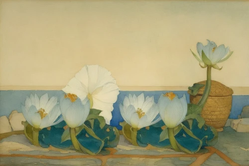 calochortus,jonquils,white tulips,tulipa,tulip white,crocus,olle gill,tulipe,tulips,croci,irises,two tulips,calla lilies,narciso,still life of spring,narcissus,crocuses,zephyranthes,narcissus of the poets,magnoliengewaechs,Illustration,Paper based,Paper Based 23