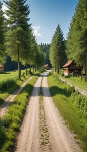 country road,dirt road,aaaa,rural landscape,forest road,landscape background,backroad,background view nature,ore mountains,backroads,aaa,zlatibor,home landscape,carpathians,nature background,transcarpathia,tree lined lane,acreages,unpaved,bavarian forest,Photography,General,Realistic