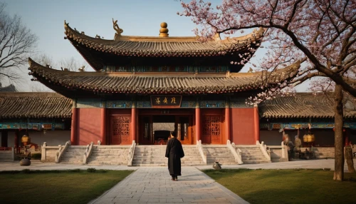 hengdian,hyang garden,zhaozhou,bulguksa temple,hall of supreme harmony,changgyeonggung palace,hanhwa,qianmen,longhua,buddhist temple,dongbuyeo,drum tower,shengxian,yangquan,gyeongbokgung,jiangxia,gyeongbok palace,gyeonghoeru,kangxi,qibao,Photography,General,Cinematic