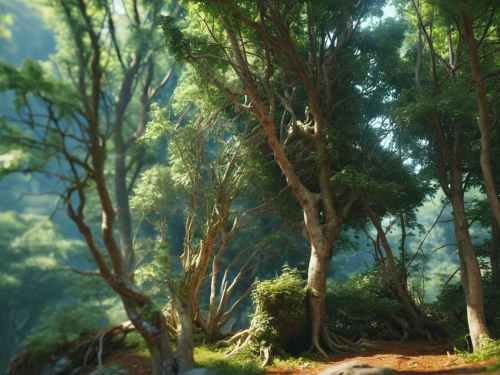 elven forest,mirkwood,green forest,the forest,forest glade,riverwood,fir forest,rivendell,forest path,forest landscape,forests,the forests,forest,verdant,forest background,pine forest,greenforest,coniferous forest,holy forest,fairy forest,Photography,General,Realistic