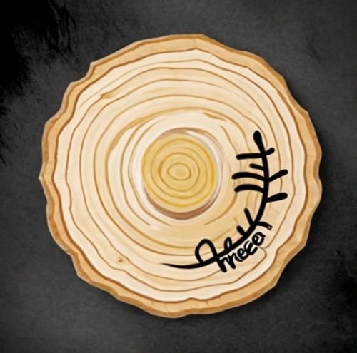dendrochronology,wooden plate,chopping board,woodburning,chakram,sigil,wooden slices,circle around tree,cheese wheel,cuttingboard,planchette,wooden wheel,greek in a circle,wooden spinning top,wooden rings,chair circle,cytoskeleton,tree slice,mitochondrion,hokka tree