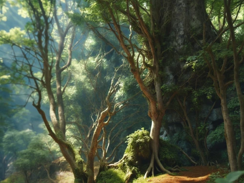 forest background,paleoenvironment,green forest,forest landscape,elven forest,forest dragon,kashyyyk,world digital painting,tropical forest,forests,the forest,forest,verdant,the forests,mirkwood,quetzalcoatlus,forest tree,forest path,forest work,forest plant,Photography,General,Realistic