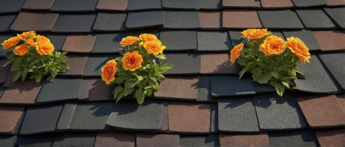 roof tiles,house roofs,house roof,tiled roof,slate roof,roofing,roof landscape,roof tile,the old roof,roof panels,roof plate,hall roof,roofs,roofing work,chimneys,roofers,roof,the roof of the,rooflines,shingled,Conceptual Art,Fantasy,Fantasy 27