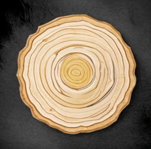 wooden slices,wooden plate,dendrochronology,wooden spinning top,tree slice,wooden rings,wooden wheel,planchette,slice of wood,hinoki,circle around tree,wooden bowl,polypore,wood background,cheese wheel,circular puzzle,wood flower,cutout cookie,puff pastry,wooden spool
