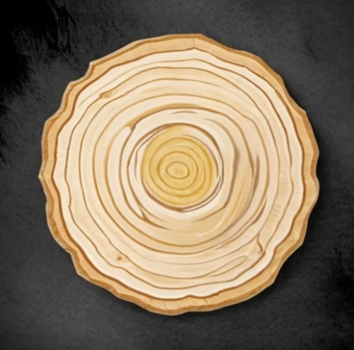 wooden slices,wooden plate,dendrochronology,wooden spinning top,wooden rings,tree slice,planchette,wooden wheel,slice of wood,cutout cookie,hinoki,wood background,pie vector,wooden bowl,puff pastry,circle around tree,cheese wheel,apple pie vector,polypore,circular puzzle