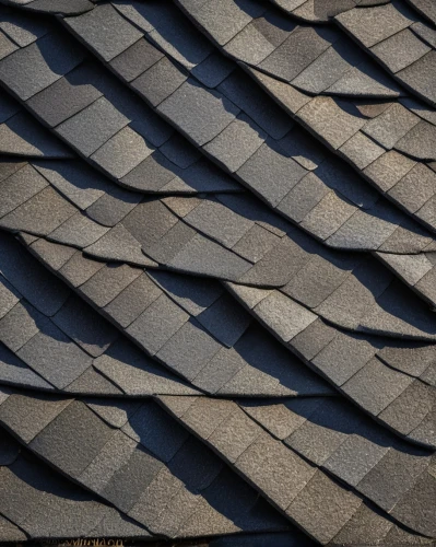 roof tiles,slate roof,roof tile,tiled roof,house roofs,the old roof,shingled,house roof,roof landscape,roofing,roof panels,shingles,roof plate,shingle,roofing work,slates,hall roof,roofing nails,stone pattern,clay tile,Conceptual Art,Oil color,Oil Color 22