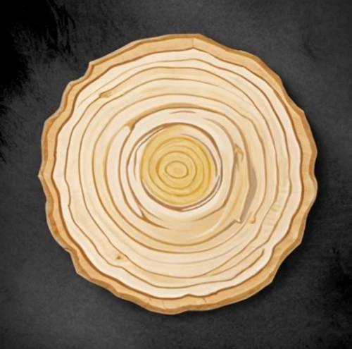 wooden slices,wooden plate,dendrochronology,wooden spinning top,wooden rings,planchette,tree slice,wooden wheel,slice of wood,cutout cookie,wood background,wood flower,circular puzzle,hinoki,wooden bowl,circle around tree,cheese wheel,polypore,pie vector,wooden wheels